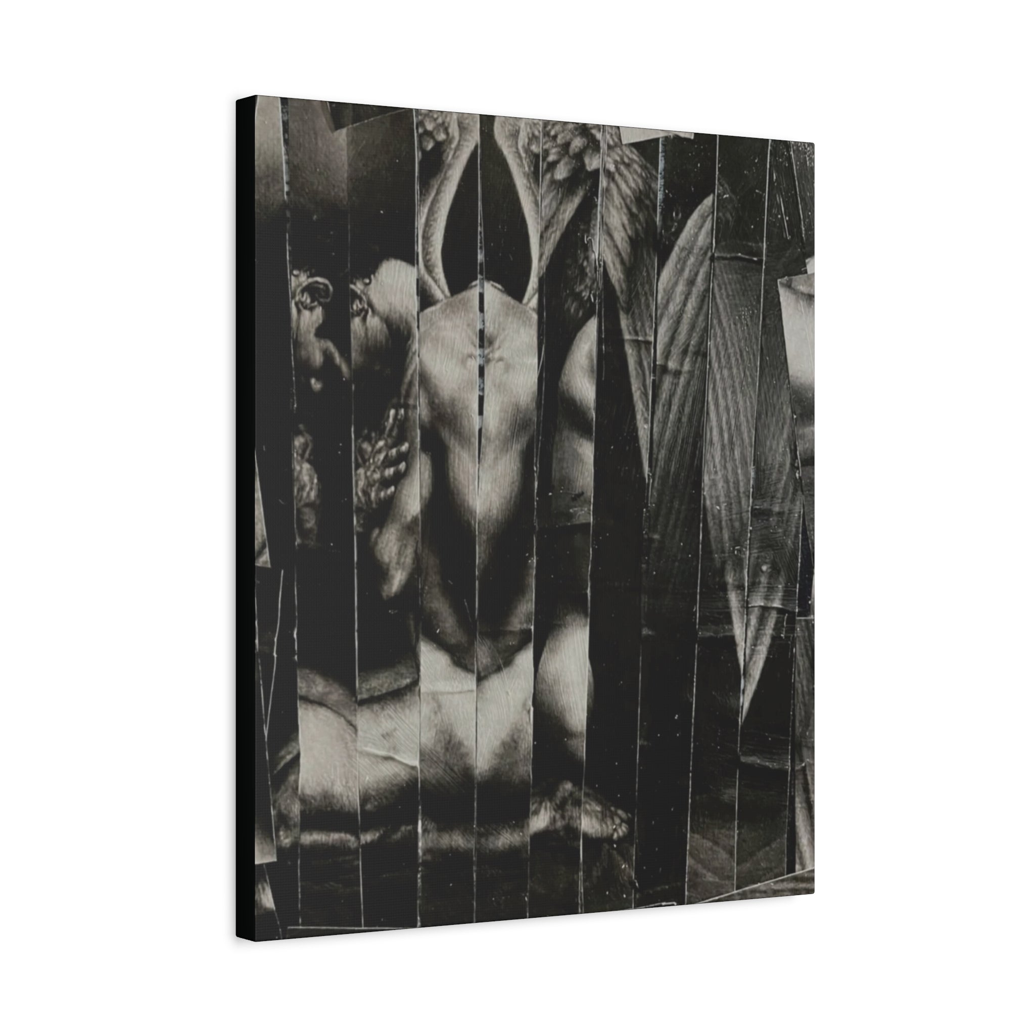 Reflections of the Dark Angel — Canvas Print